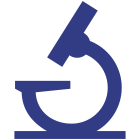 Palsys logo