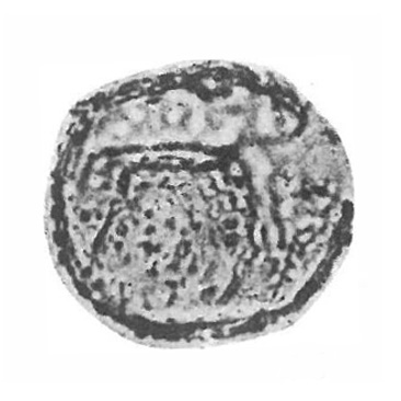 A?_vermiculatum, He et al., 2009, Nanjing Institute of Geology and Palaeontology, Nanjing 2100089.jpg